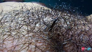 Close up of very hairy pussy! Hairy fetish!