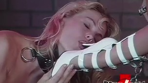 BRUCE SEVEN – Jill, Dalny, Tera, Yvonne, Shelby, and Missy are banging deep into each other's tight assholes!